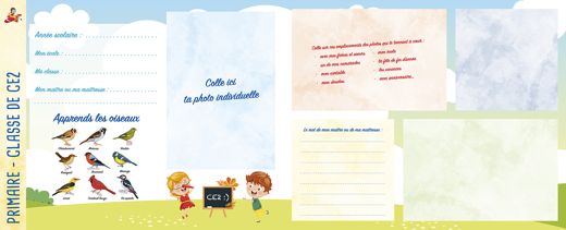 Primaire · CE2 (1/2)