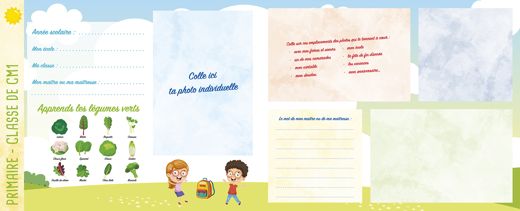 Primaire · CM1 (1/2)